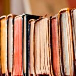 The I Love Lucy Collection – Job Switching/Fashion Show VHS