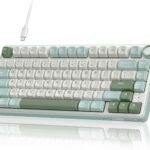 RK ROYAL KLUDGE R75 Mechanical Keyboard Wired with Volume Knob, 75% Keyboard Gasket Mounted, Hot Swappable, Creamy Sound, MDA Profile, PBT Keycaps