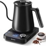 Electric Kettle, HIYAKOI Gooseneck Electric Kettle with Temperature Control, Pour Over Kettle for Coffee & Tea, 1200W Quick Heating Stainless Steel Hot Water Kettle Electric, Keep Warm, 0.8L