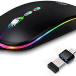 HOTLIFE LED Wireless Mouse, Slim Rechargeable Silent Portable USB Optical 2.4G Wireless Bluetooth Two Mode Computer Mice with USB Receiver and Type C Adapter (Black)
