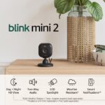 Blink Mini 2 — Home Security & Pet Camera(s) with HD video, color night view, motion detection, two-way audio, and built-in spotlight — 1 camera (Black)