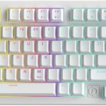 FE98Pro Wireless RGB Hot Swappable Mechanical Keyboard, Three-Layer Dampening 98 Keys Gaming Keyboard, Customizable Backlit, USB-C/2.4GHz/Bluetooth- White/Red