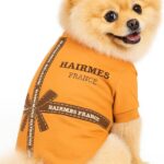 Luxury Designer Dog T Shirt – Trendy Puppy Clothes for Small Dogs, Fashion Pet Tee for French Bulldogs & Chihuahuas, Everything Chic Dog Apparel