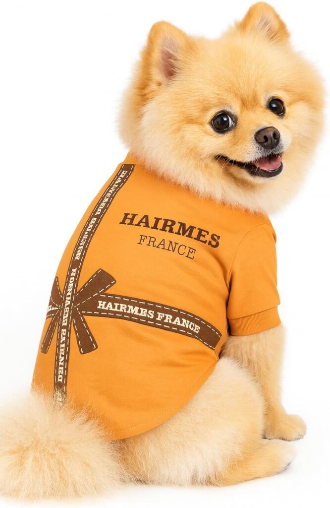 Luxury Designer Dog T Shirt – Trendy Puppy Clothes for Small Dogs, Fashion Pet Tee for French Bulldogs & Chihuahuas, Everything Chic Dog Apparel