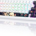 RisoPhy PC425 Wireless Gaming Keyboard, Gasket Mount, RGB Backlight, Volume Knob, 2.4GHz/USB-C/BT5.0, 60% Mechanical Gaming Keyboard for Mac/Win