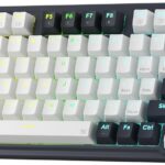 Redragon K673 PRO 75% Wireless Gasket RGB Gaming Keyboard, 3-Modes 81 Keys Compact Mechanical Keyboard Hot-Swap Socket, Dedicated Knob Control and Sound Absorbing Pads, Linear Red Switch