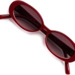 VANLINKER Polarized Retro Oval Sunglasses for Women and Men Small 90s Style VL9580