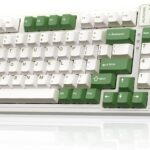 AUSDOM 98Pro Silent Mechanical Keyboard, Wireless Hot Swappable Gaming Keyboard with Backlit,Gasket Structure,Pre-lubed Tactile Switches,2.4GHz/Type-C/Bluetooth Custom Keyboards (Green & White-Silent)