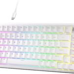 DIERYA DK81E 75% Mechanical Gaming Keyboard, Hot-Swappable Gasket-Mount Creamy Sound, Programmable, Volume Knob, RGB Backlit, Double-Shot Keycaps, 6-Layer Foam, Pre-Lubed Switches, USB-C Wired, White