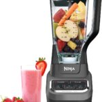 Ninja CO610B Ninja Professional Blender (Renewed)