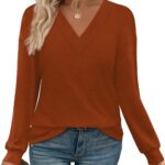 WIHOLL Long Sleeve Shirts for Women V Neck Tops Tunic Fall Winter Sweatshirts 2025 Clothes