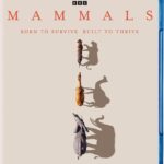 Mammals (2pc) / (Ecoa)