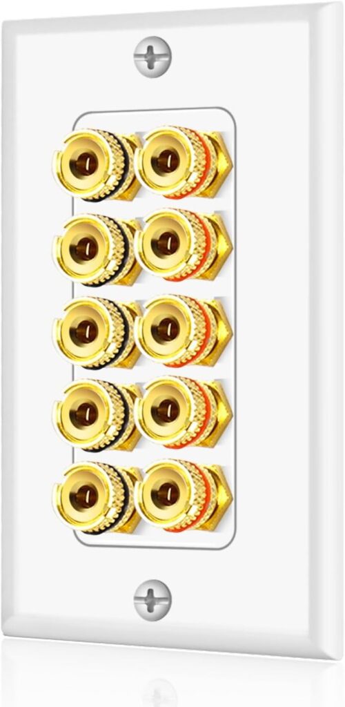 TNP Home Theater Wall Plate – Banana Plug Audio Wall Plate with Gold-Plated Terminals, Single Gang, White