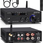 Amplifier Home Audio,Stereo Receiver Bluetooth 5.0 Power amp 100W x2 Wireless HiFi Stereo Class D Digital 2 Channel Integrated with Bass Treble Control for Passive Speakers