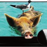 VIVIDSTORM Motorized Floor Rising UST ALR Projector Screen for Home Theater, Tensioned Wrinkle-Free Surface, Smart App and Voice Control, No Wall Mount Needed,VSDSTUST120H