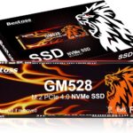 512GB M.2 SSD NVMe PCIe 2280 Internal Solid State Hard Drive, Up to 5000 MB/s, 3D NAND SLC Cache, SSD for Gaming PC Storage, Business Laptop, Home Entertainment, Creative Workflow GM528