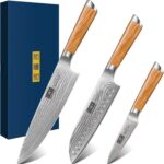 HOSHANHO Damascus Kitchen Knife Set 3-Piece, Ultra Sharp 8″ Chef Knife, 7″ Santoku Knife, 3.75″ Paring Knife, Professional 10Cr15CoMoV Damascus Super Steel Chef Knife Set with Ergonomic Handle