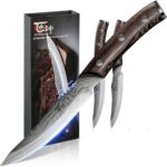 Steak Knives Set of 2, 4.8 Inch High End Japanese Style Fine Edge Meat Knife with Wood Handle, Damascus Pattern Full Tang Design, Super Sharp Dinner Knives with Exquisite Box, Cooking Gifts