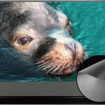 XGIMI & VIVIDSTORM 120″ Motorized Floor Rising Projector Screen for Home Theater, Wrinkle-Free Surface, No Wall Mount Needed