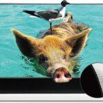 VIVIDSTORM-Projection Screen S PRO 100 inch Motor Rollable Laser TV Tensioned Floor Screen Ambient Light Rejecting Suit for 4k HD Office Movie Cinema Ultra-Short Throw Laser projecror,VWSDSTUST100H