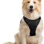 rabbitgoo Dog Harness No Pull with 2 Leash Clips, Adjustable Soft Padded, Reflective Oxford No Choke Pet Vest with Easy Control Handle for Medium Sized Dogs, Black, M