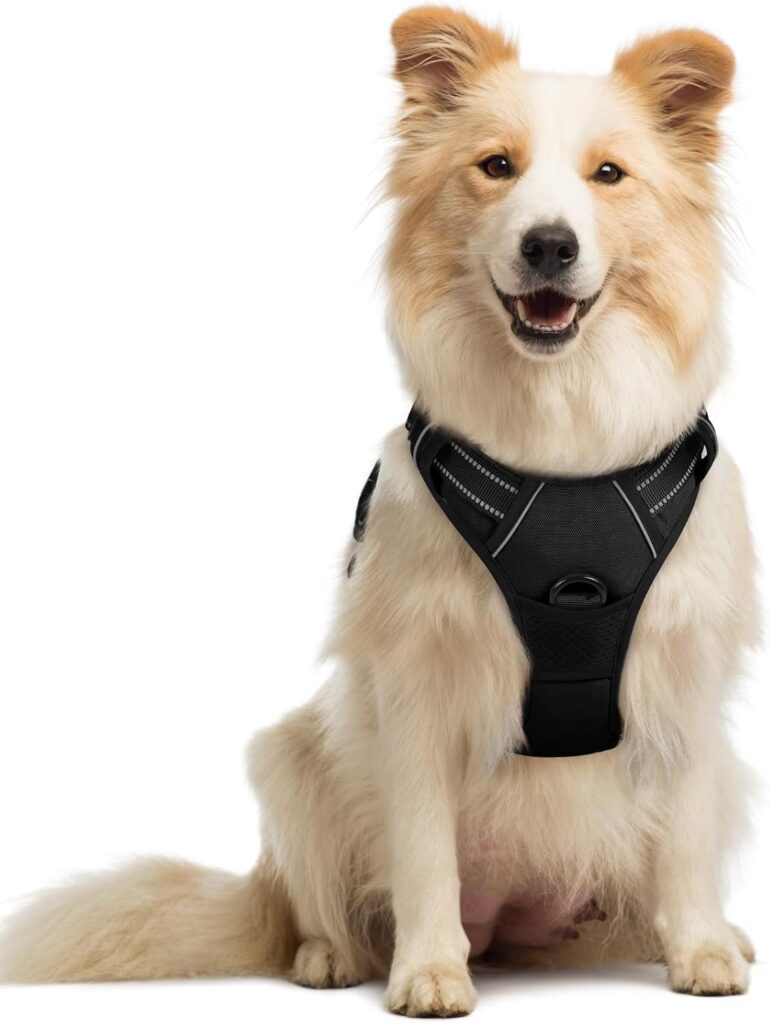 rabbitgoo Dog Harness No Pull with 2 Leash Clips, Adjustable Soft Padded, Reflective Oxford No Choke Pet Vest with Easy Control Handle for Medium Sized Dogs, Black, M