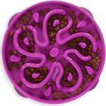 Outward Hound Large Slow Feeder Bowl, Puzzle Maze for Fast Eaters, Medium to Large Dogs, Helps Prevent Bloat & Aid Digestion, Holds 4 Cups Wet or Dry Food, Non-Slip, Made Without BPA, Purple