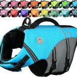 VIVAGLORY Sports Style Dog Life Vest, Dog Life Jacket for Swimming & Boating, Ripstop & Buoyancy for Puppy Doggy, Lifejacket with Handle, M, Blue